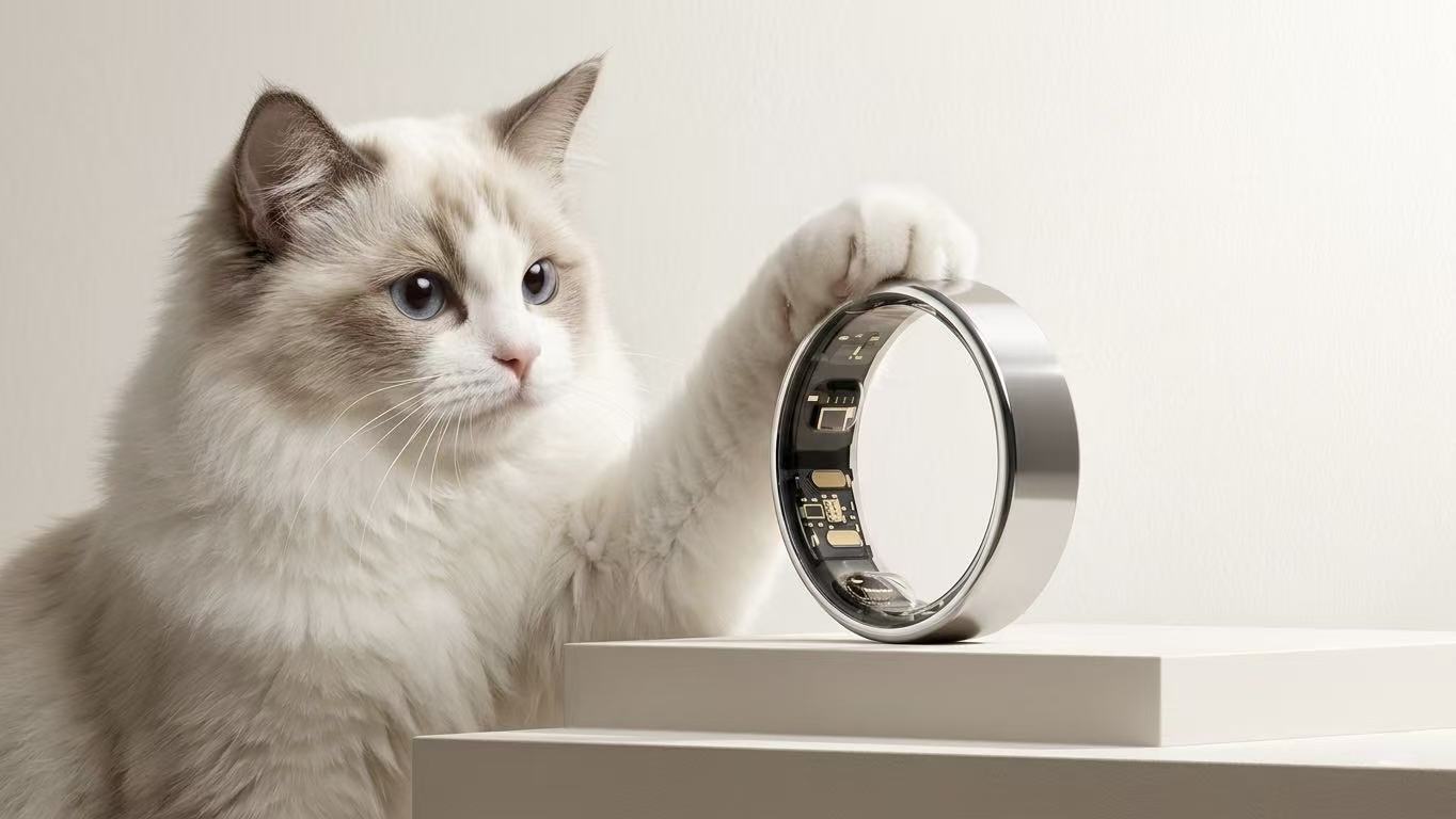 Ragdoll cat resting a paw on a Soul Vibe smart ring